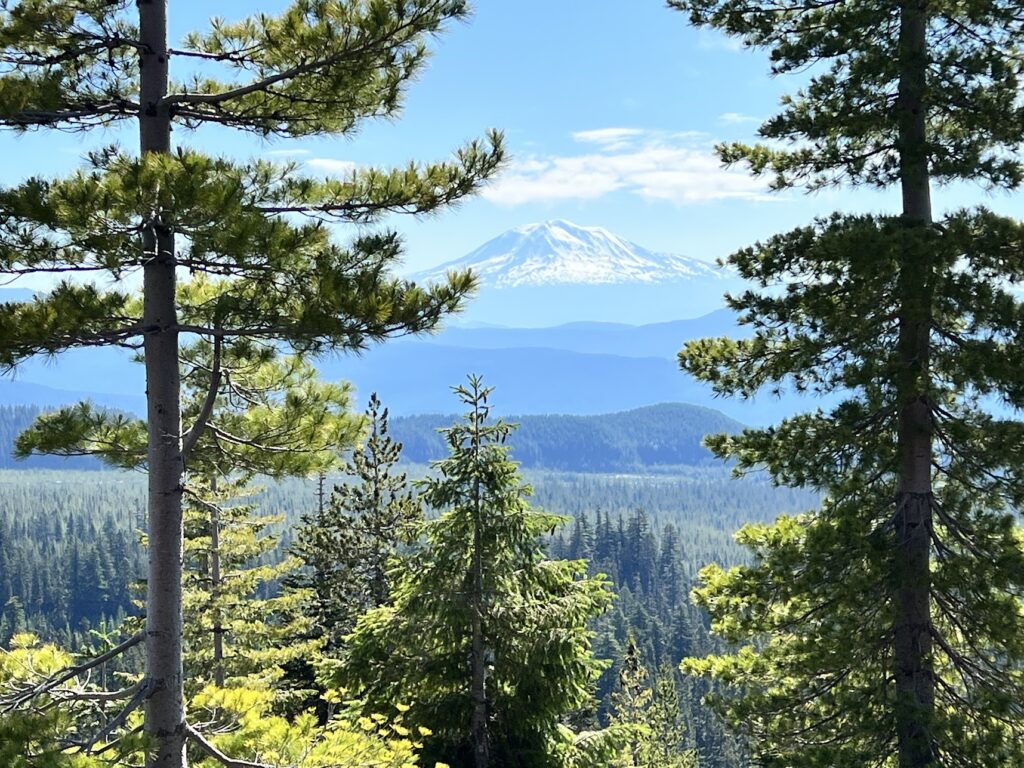 Mt. Rainier from Mt. St Helens