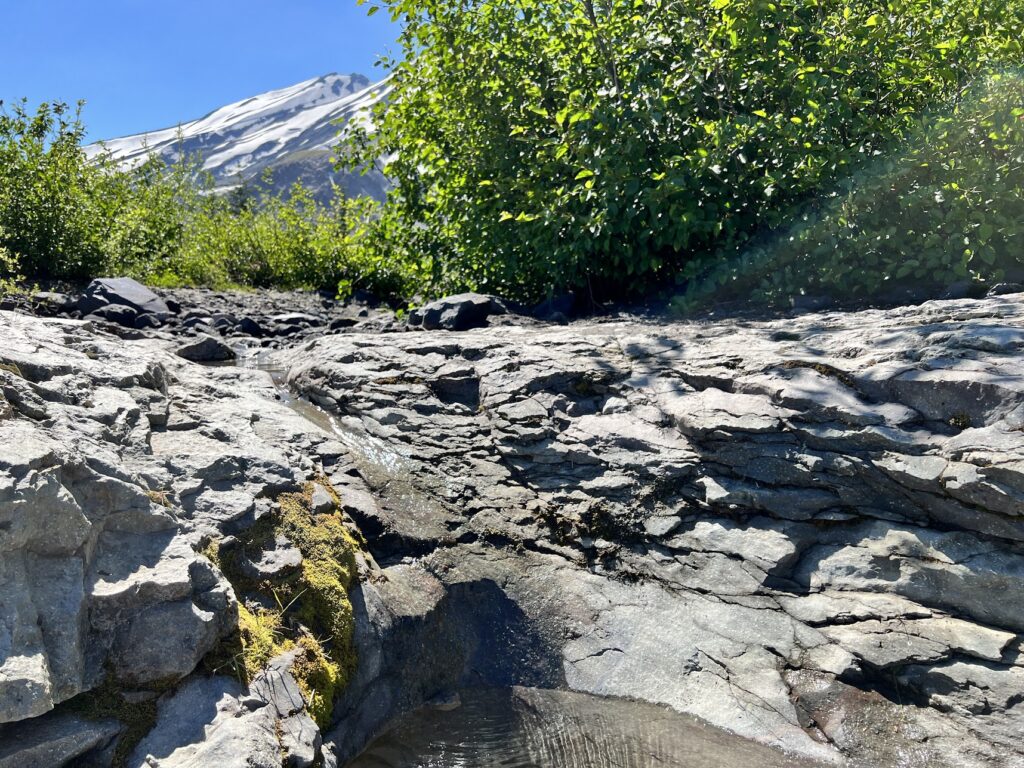 Water source just above Ape Canyon.