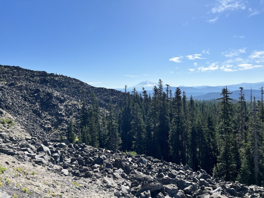 Views of the other mountains in the Cascades never get old.